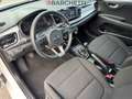Kia Rio 4ª SERIE 1.2 MPI EVOLUTION Bianco - thumbnail 12