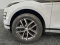 Land Rover Range Rover Evoque Dynamic SE awd 163cv auto Grau - thumbnail 4