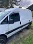 Fiat Scudo 220 ZP5 RBX1 U64 Weiß - thumbnail 3