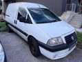 Fiat Scudo 220 ZP5 RBX1 U64 Weiß - thumbnail 7