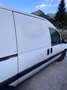 Fiat Scudo 220 ZP5 RBX1 U64 Weiß - thumbnail 11