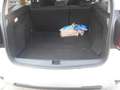 Dacia Duster 1.5 blue dci Prestige up SL DaciaPlus 4x2 115cv Bianco - thumbnail 6