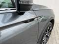 Volkswagen Tiguan Allspace 2.0 TDI R-Line 4Motion Grau - thumbnail 13