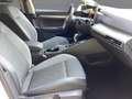 Volkswagen Golf Variant Golf VIII Variant 1.5 TSI GOAL LEDplus+NAVI+AHK Weiß - thumbnail 12