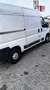 Citroen Jumpy CITROËN - Jumper  Furg. - 2.2 Hdi tetto alto Blanc - thumbnail 2