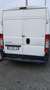 Citroen Jumpy CITROËN - Jumper  Furg. - 2.2 Hdi tetto alto Blanc - thumbnail 3