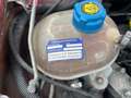 Fiat Panda 1.2 4x4 (Leggereladescrizione) Rot - thumbnail 15