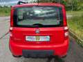 Fiat Panda 1.2 4x4 (Leggereladescrizione) Rot - thumbnail 6