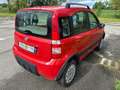 Fiat Panda 1.2 4x4 (Leggereladescrizione) Rot - thumbnail 5