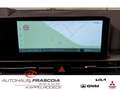Kia Sportage Spirit 1.6T DCT (P5) Navi ACC PDC SHZ 360 grad Kam Gris - thumbnail 15