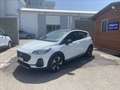 Ford Fiesta Active 1.0 ecoboost h 125cv Wit - thumbnail 1