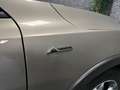Ford Focus Focus 1.5 EcoBlue - 120 - BVA  IV Active bež - thumbnail 45
