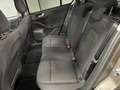 Ford Focus Focus 1.5 EcoBlue - 120 - BVA  IV Active bež - thumbnail 13
