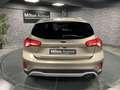 Ford Focus Focus 1.5 EcoBlue - 120 - BVA  IV Active bež - thumbnail 4