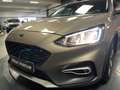 Ford Focus Focus 1.5 EcoBlue - 120 - BVA  IV Active bež - thumbnail 44