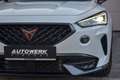 CUPRA Formentor 2,0 TDI 4Drive DSG Weiß - thumbnail 4