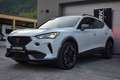 CUPRA Formentor 2,0 TDI 4Drive DSG Weiß - thumbnail 1
