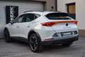 CUPRA Formentor 2,0 TDI 4Drive DSG Weiß - thumbnail 8