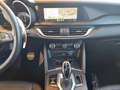 Alfa Romeo Stelvio Stelvio 2.2 Sprint RWD Aut. 160 Sprint Rojo - thumbnail 15