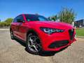 Alfa Romeo Stelvio Stelvio 2.2 Sprint RWD Aut. 160 Sprint Rojo - thumbnail 8