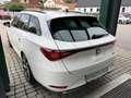 SEAT Leon FR 4Drive TDI DSG Weiß - thumbnail 5