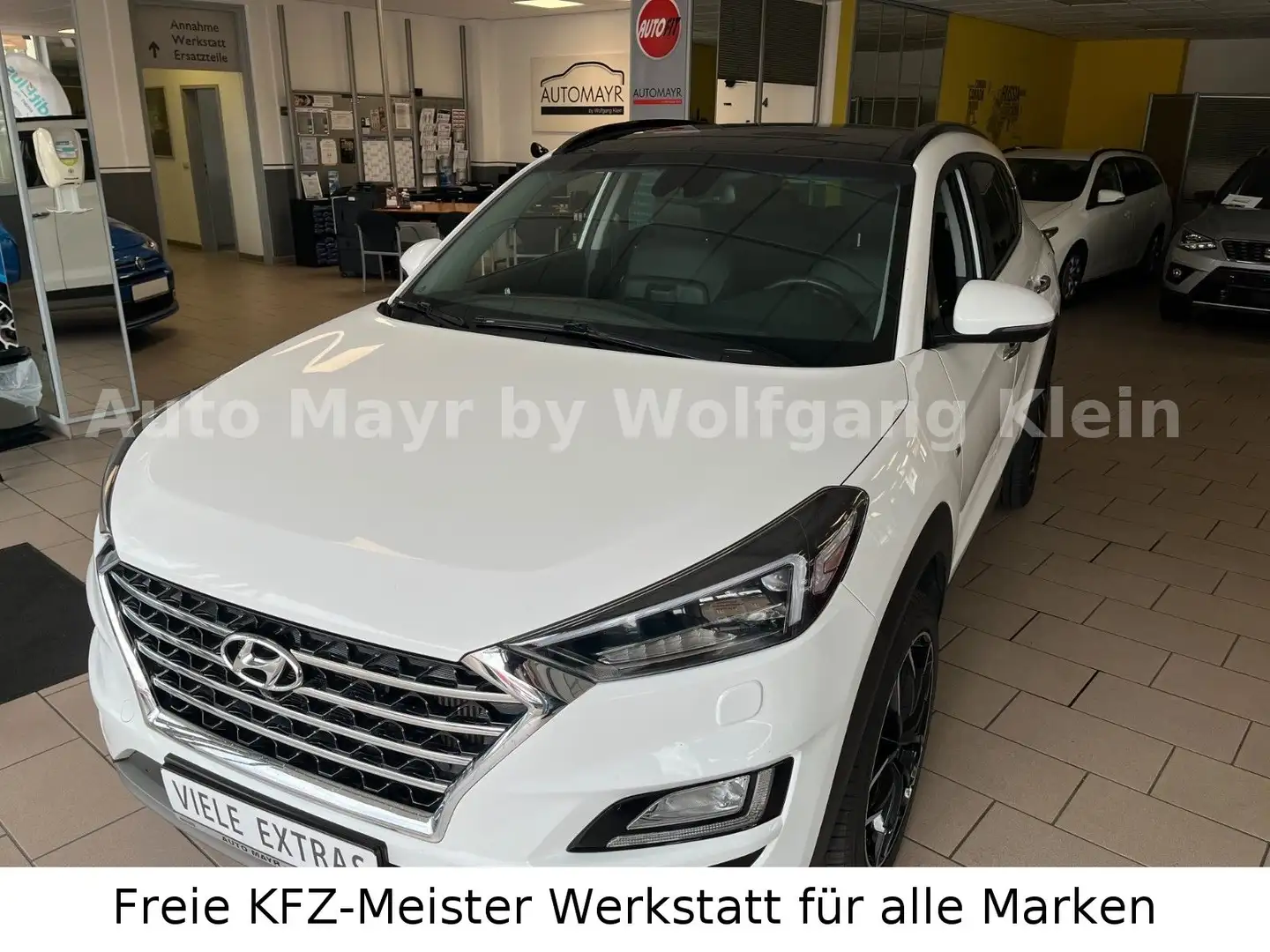 Hyundai TUCSON 2.0 Style Mild-Hybrid 4WD, ALU, DAB Weiß - 1