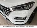 Hyundai TUCSON 2.0 Style Mild-Hybrid 4WD, ALU, DAB Weiß - thumbnail 9