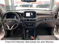 Hyundai TUCSON 2.0 Style Mild-Hybrid 4WD, ALU, DAB Weiß - thumbnail 31
