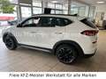 Hyundai TUCSON 2.0 Style Mild-Hybrid 4WD, ALU, DAB Weiß - thumbnail 8
