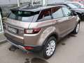 Land Rover Range Rover Evoque Pure Allrad AHK RFK PDC SHZ Brons - thumbnail 8