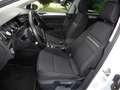 Volkswagen Golf 2,0TDI 150CV CUP Bianco - thumbnail 7