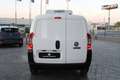 Fiat Fiorino Cargo 1.3 80cv Con FRIGO ZANOTTI & ATP Biały - thumbnail 9