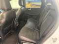 Ford Kuga 2,5 Duratec PHEV ST-Line X Aut. Weiß - thumbnail 7