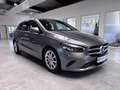 Mercedes-Benz B 220 4M AUTOMATIK+MBUX+LED+KAMERA+ALLWETTER+ALU Сірий - thumbnail 22