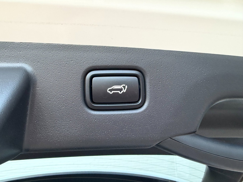 Kia e-Niro EV DynamicPlusLine 64.8 kWh ACC l CAMERA l SOH 100 — photo 24