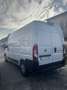 Fiat Ducato PM-TA - thumbnail 3