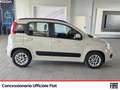 Fiat Panda 1.2 lounge 69cv Blanc - thumbnail 6