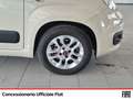 Fiat Panda 1.2 lounge 69cv Blanc - thumbnail 14