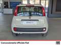 Fiat Panda 1.2 lounge 69cv Blanc - thumbnail 5