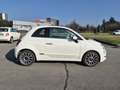 Fiat 500 1.2 120 69cv my20 Weiß - thumbnail 4