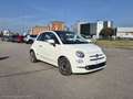 Fiat 500 1.2 120 69cv my20 Weiß - thumbnail 3