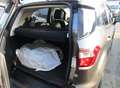 Ford EcoSport 1.0 EcoBoost ST-Line NAVI Bang&Olufsen Grau - thumbnail 6