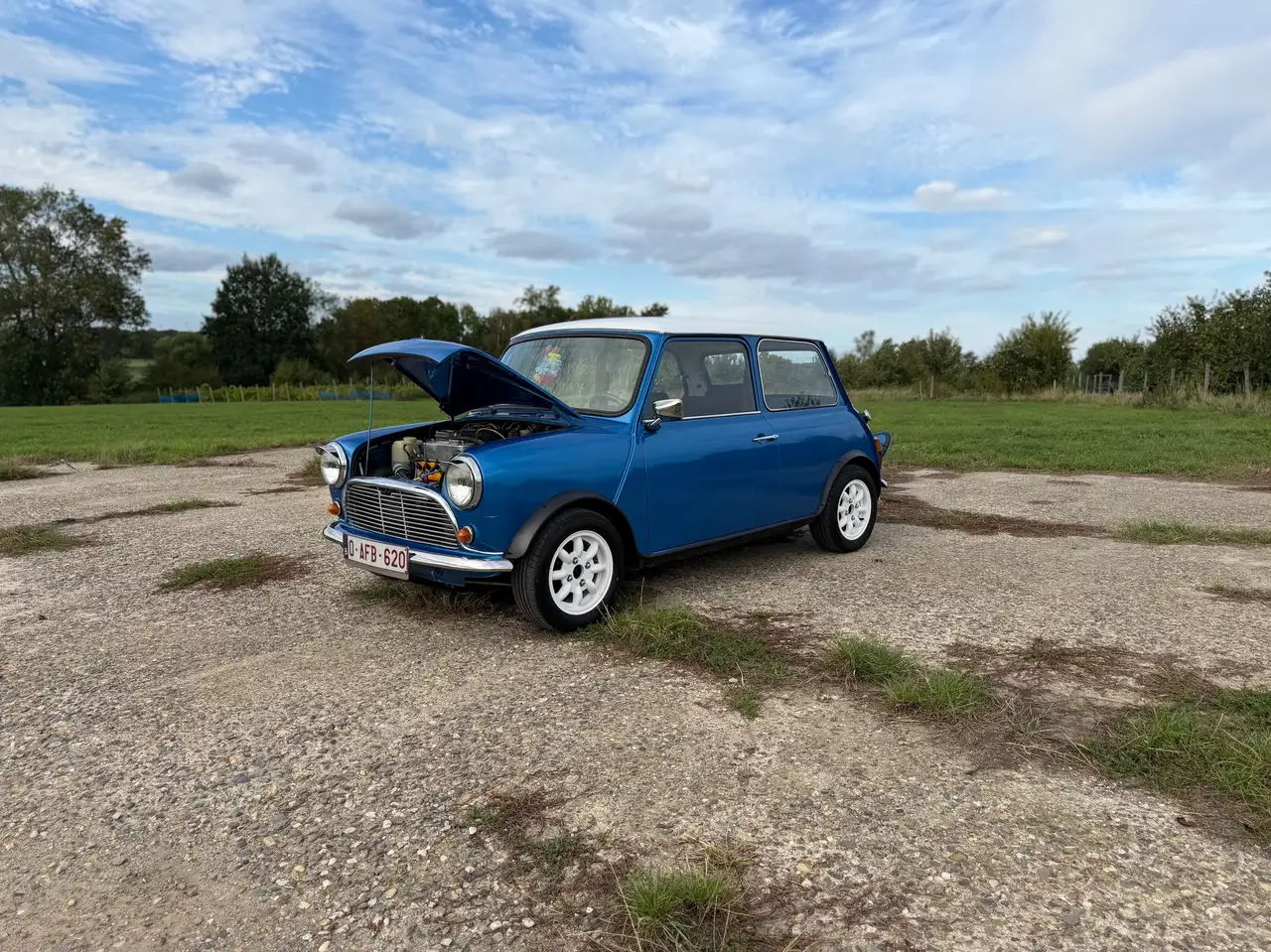 MINI 1000 Leyland, foto 6