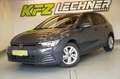 Volkswagen Golf 2,0 TDI ''LED*R-KAM*SITZH*NAVI*AHK*ACC'' Grau - thumbnail 8
