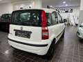 Fiat Panda EMOTION 1.2 BENZ/GPL 70CV EASYPOWER - IMPIANTO GPL Bianco - thumbnail 4