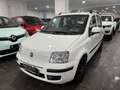 Fiat Panda EMOTION 1.2 BENZ/GPL 70CV EASYPOWER - IMPIANTO GPL Bianco - thumbnail 3
