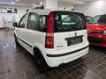 Fiat Panda EMOTION 1.2 BENZ/GPL 70CV EASYPOWER - IMPIANTO GPL Bianco - thumbnail 6
