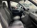 Fiat Panda EMOTION 1.2 BENZ/GPL 70CV EASYPOWER - IMPIANTO GPL Bianco - thumbnail 11
