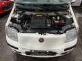 Fiat Panda EMOTION 1.2 BENZ/GPL 70CV EASYPOWER - IMPIANTO GPL Bianco - thumbnail 9