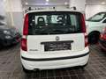 Fiat Panda EMOTION 1.2 BENZ/GPL 70CV EASYPOWER - IMPIANTO GPL Bianco - thumbnail 5